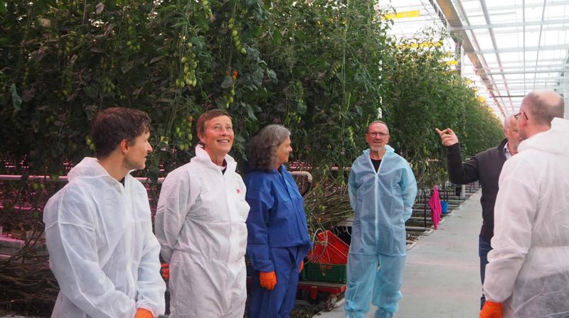 Bedriftsbesøk på eit av Noregs største gartneri, Wiig Gartneri.