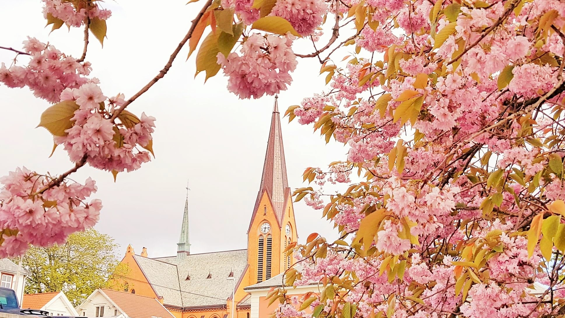 Kirkemusikerne starter samlingen med middagsbønn i Vår Frelsers kirke. 
