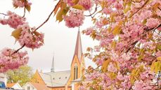 Kirkemusikerne starter samlingen med middagsbønn i Vår Frelsers kirke. 