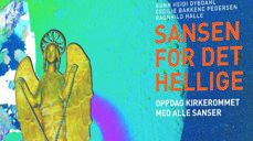 Utsnitt av bokas forside, se bilde av hele nederst i saken.