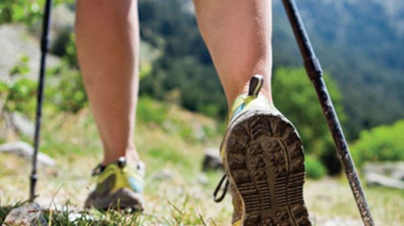 Vandringsferie i fellesskap