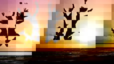 Skap noe nytt i ungdomsarbeidet med støtte fra Ungdommens bispedømmeråd