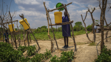 Ved hjelp av ganske små dråper vann og dryppirrigasjon kan det vokse planter. Prevencia fyller vann i bøtter, og vannet føres ut gjennom vannslanger til plantene. Foto: Kirkens Nødhjelp