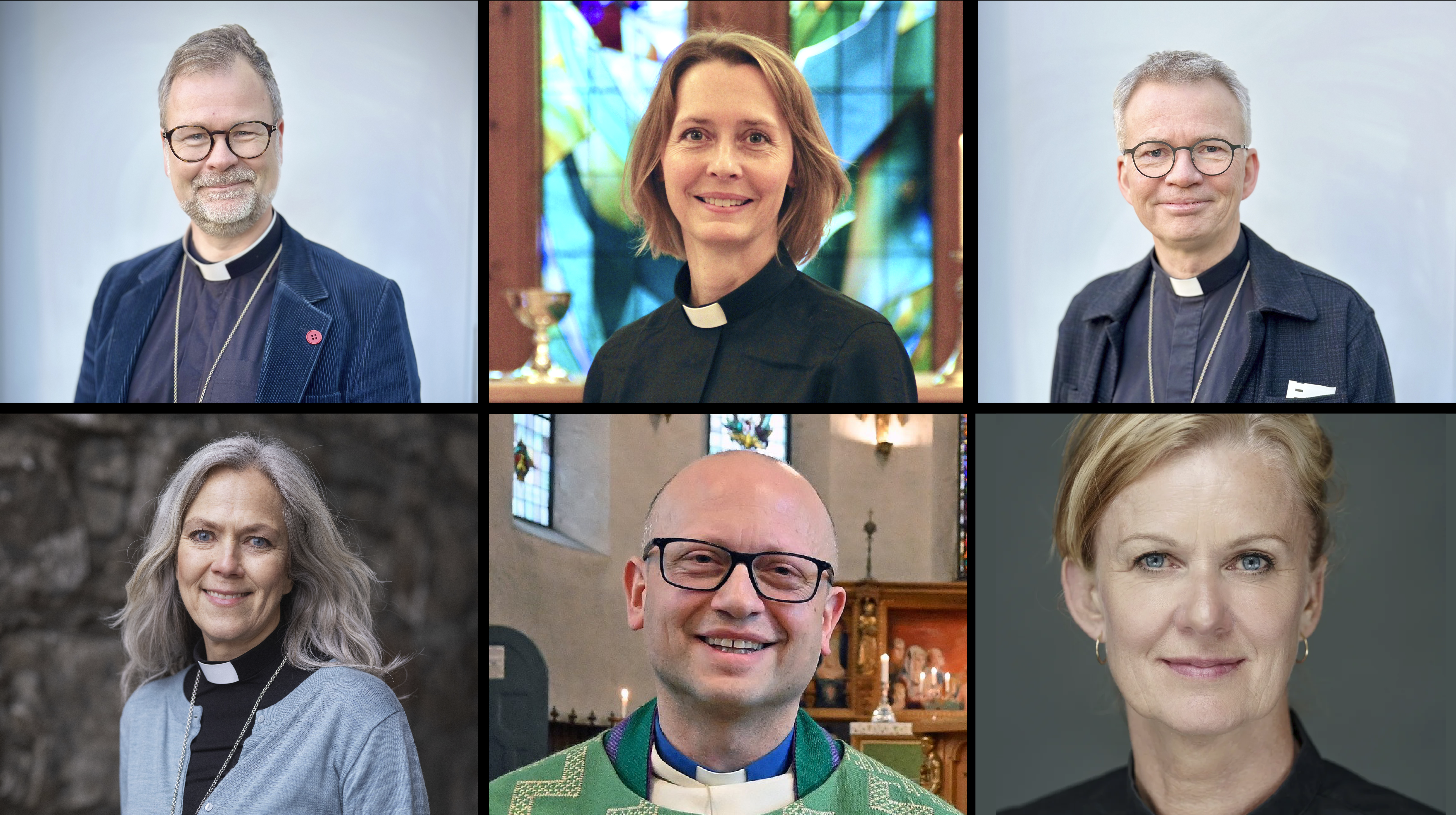 Øverst fra venstre: Sveinung Hansen, Kjerstin Jensen og Øystein Magelssen. Nede fra venstre: Kristin Moen Saxegaard, Stephen Sirris og Elisabeth Thorsen.