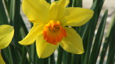 Fotograf: Silje Frøvoll Thoresen