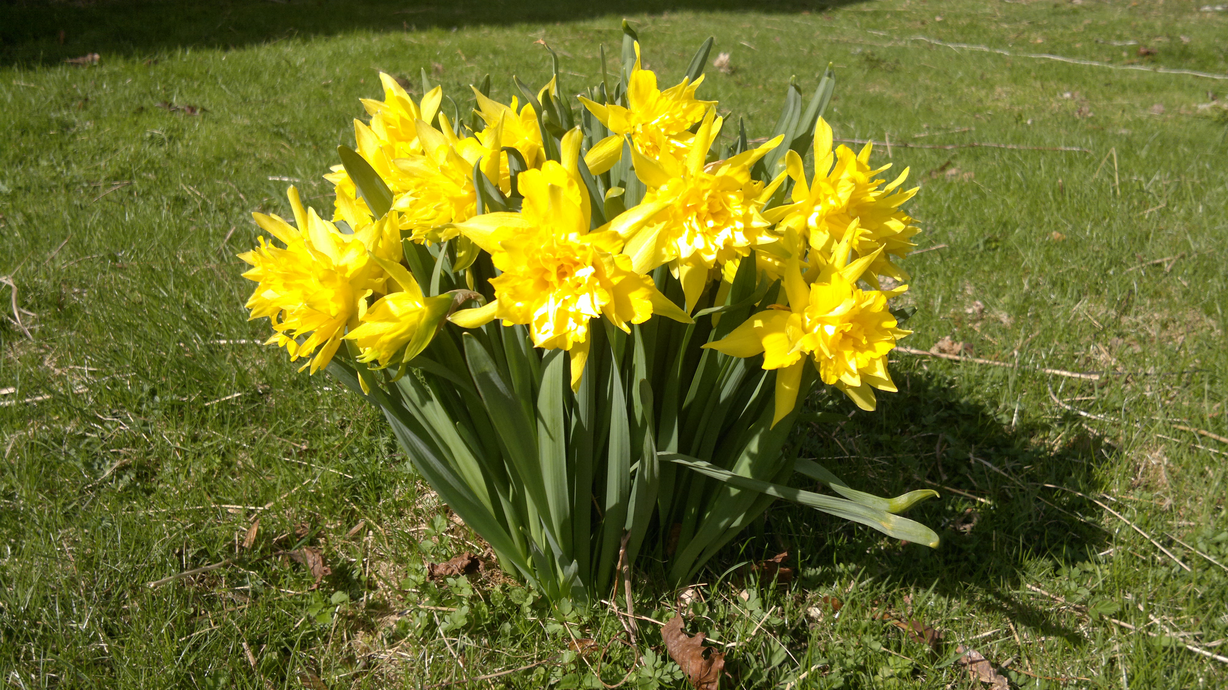 Mulighetenes h&#248;ytid