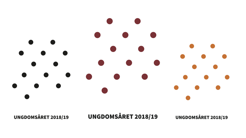 Oversikt over året, informasjon, tips til profilering og logo