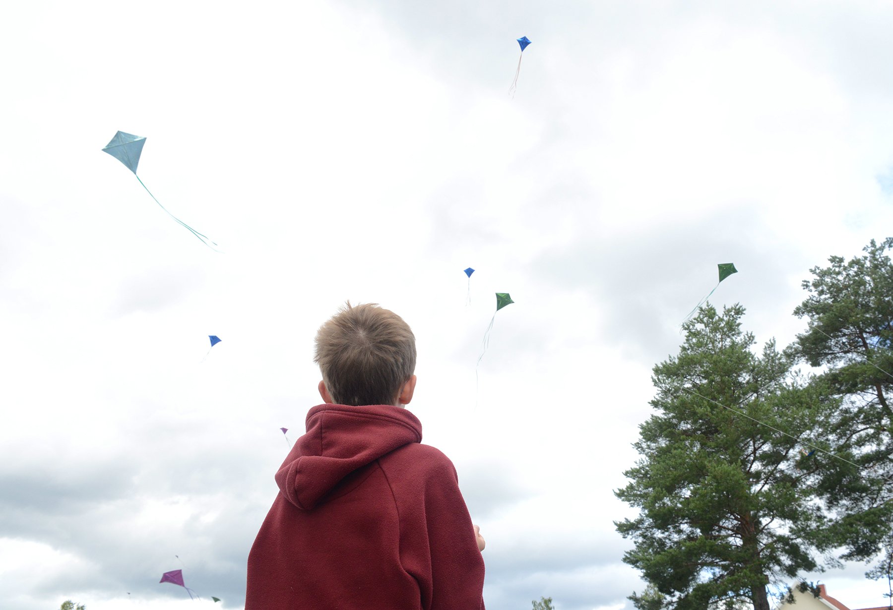 Det var mange drager i luften på Dragefestivalen. Foto: Okke Bloem