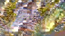 Illustrasjonfoto: Pixabay