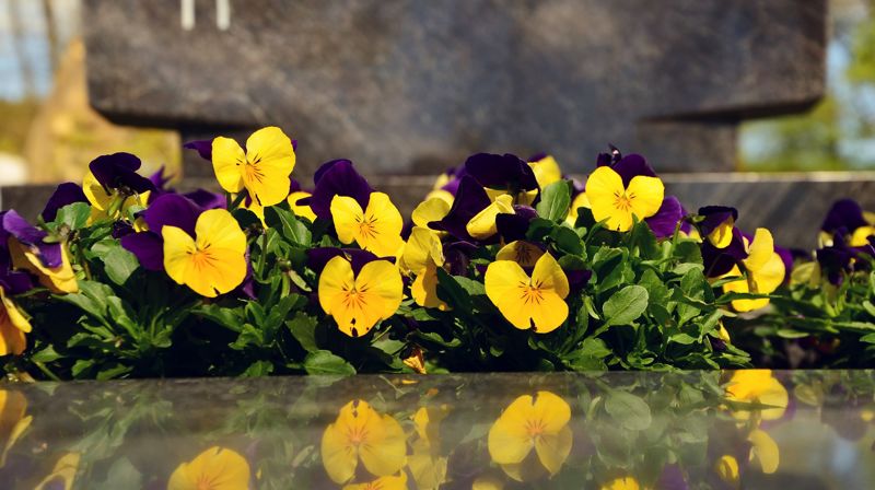 Vedlikehold på kirkegårdene