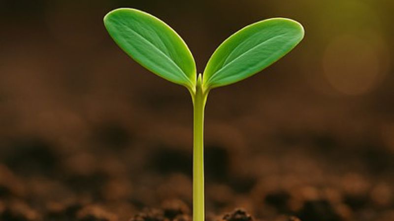 Søndagstankar 23. november: Vel livet!