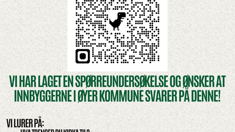 Spørreundersøkelse 2025