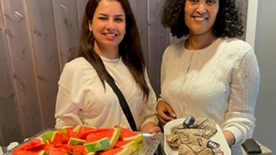  Internasjonalt arbeid