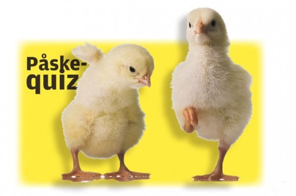 Påskegøy!