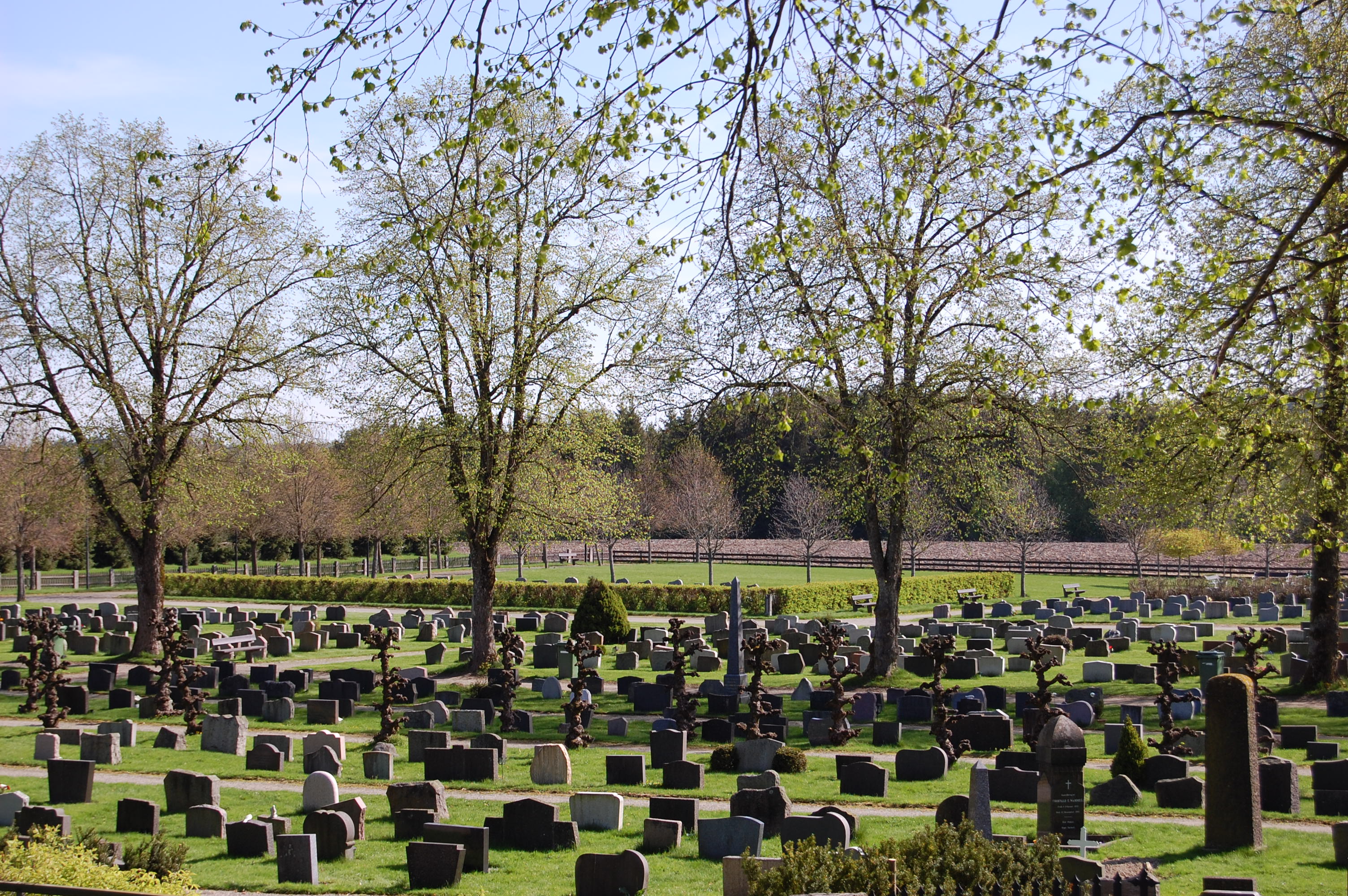 Ansvar for gravferden