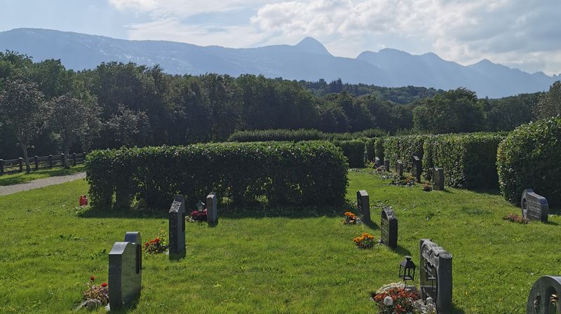 Ibsens ripsbærbusker og andre buskvekster!