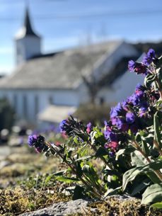 Meland kyrkje april 2020. Foto: Regine Sagstad Berg