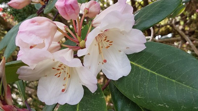 Velkomne til gudsteneste i Tjorehagen!