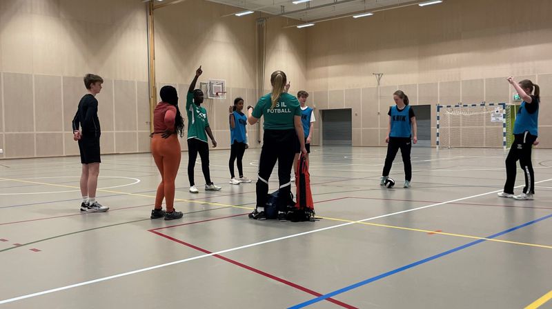 Ungdomsarbeider 16 % med hovedansvar for KRIK