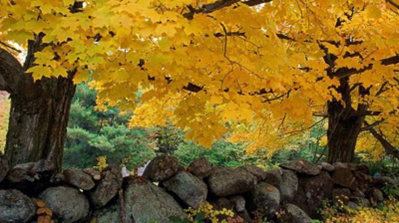 Menighetsbladet Vårt Nærmiljø høst 2025