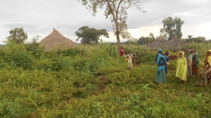 Bilder er tatt av misjonæren «vår» Sophie Küspert-Rakontondrainy. Tekst av prostidiakon Atle Eikeland.
