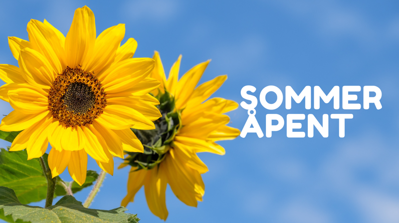 Kirkekontorets åpningstider i sommer