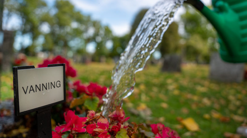 Synstolkning: Vanning av betulia ved en grav