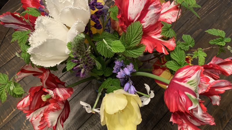 Vil du bli fast giver?