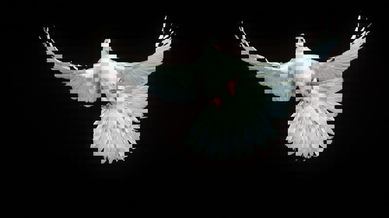 Yogagudstjeneste mandag 21. mai kl. 20 - 21.15