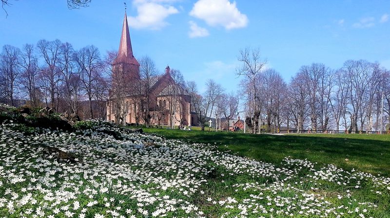 11 kandidater ved menighetsrådsvalget i september