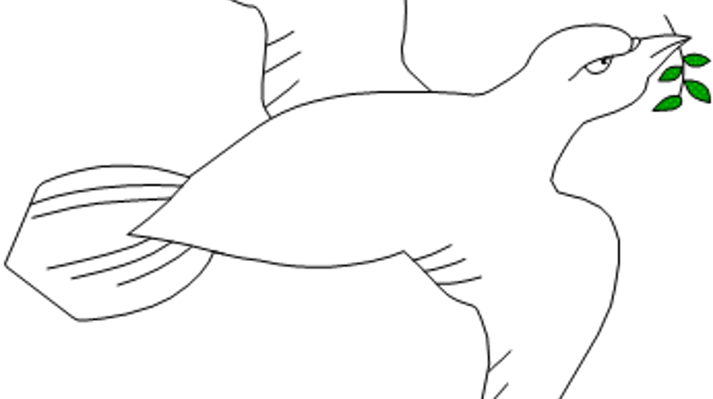 Sorggrupper for voksne