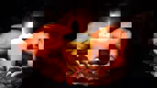 Bildet er tatt av Myriam Zilles fra Pixabay