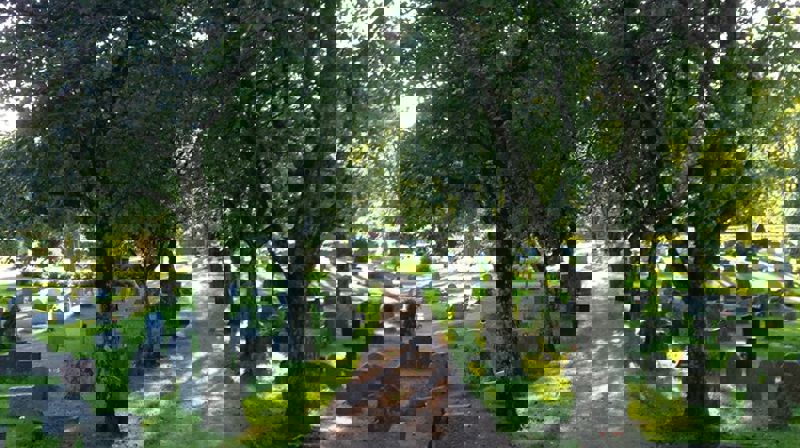 Kulturvandring og sommerkonsert søndag 16. juni kl. 17:30–20:00