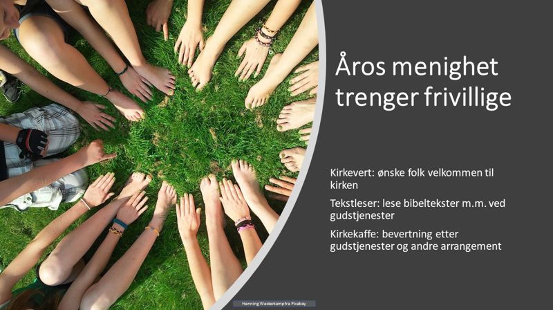 ER DU VÅR NYE FRIVILLIGE?