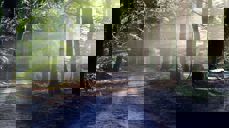 Må din vei komme deg i møte... Foto: Pixabay