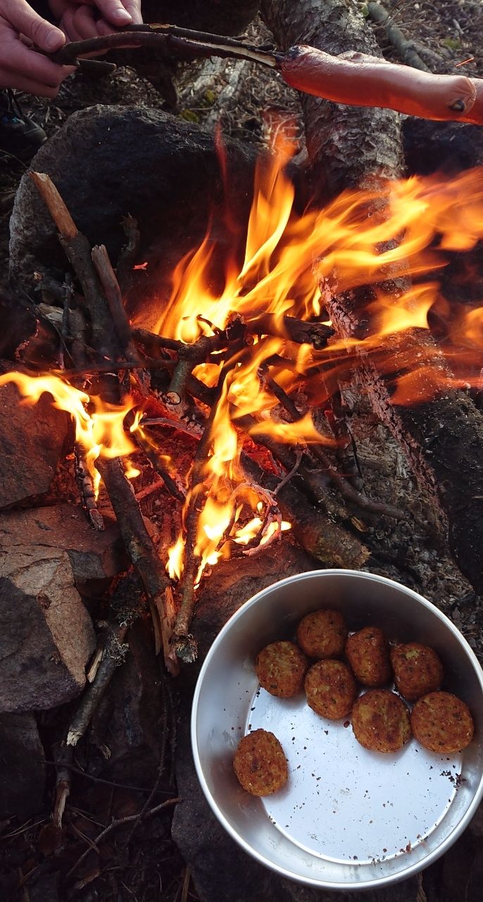 Foto: Elisabeth Hagen Ristesund