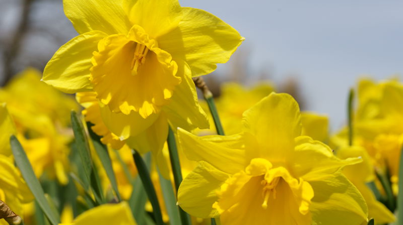 Påsken i Holmen kirke