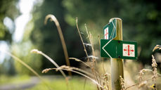 Skilt til pilegrimsled. Fotograf: Bo Mathisen