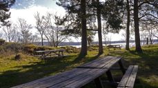 Uteområde med benk. Foto: Strandheim