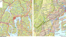 Kart over Holmen og Billingstadområdet. Fra Statens kartverk.