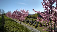 Foto: Tone Haverstad