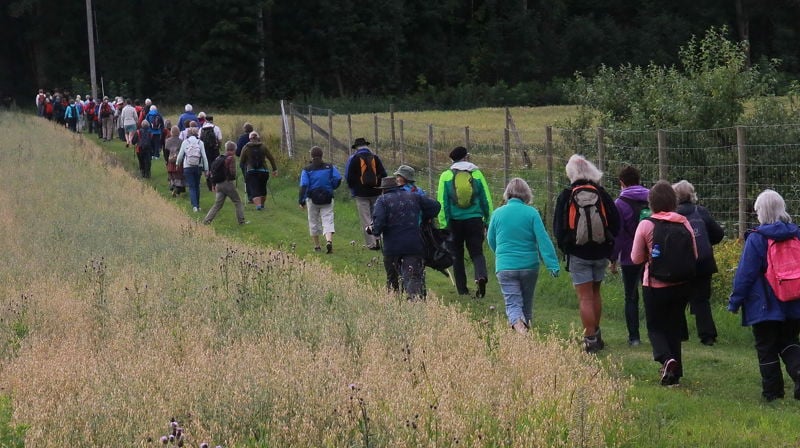 Bli med på høstens pilegrimsvandringer!