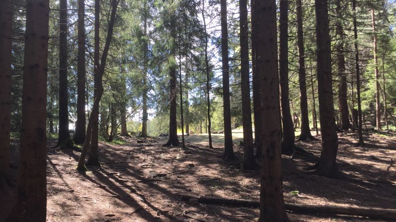 Kristi himmelfart 2025