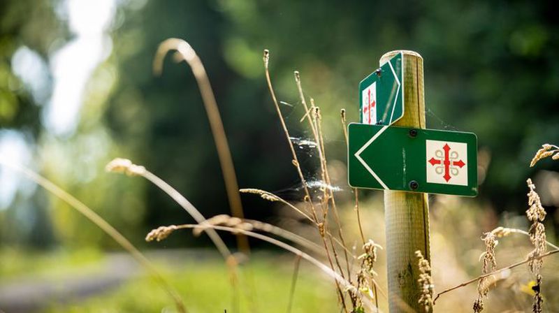 Pilegrimsvandringen går fra Tjølling kirke til Østre Halsen kirke. Foto: Bo Mathisen