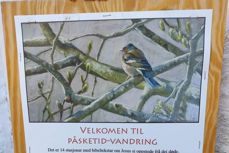 plakat påskevandring