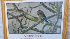 plakat påskevandring