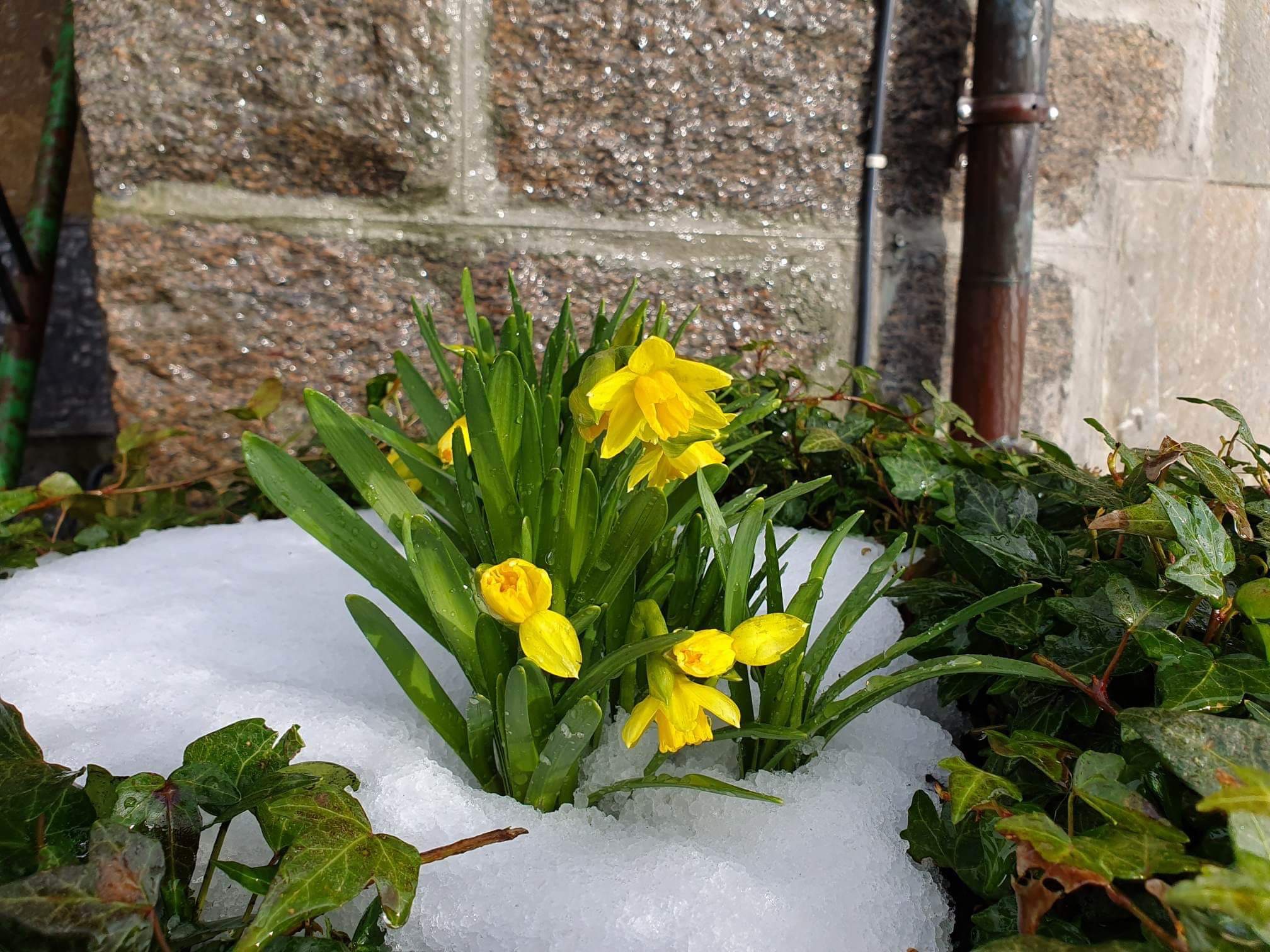 Velkommen til årsmøte for 2025!