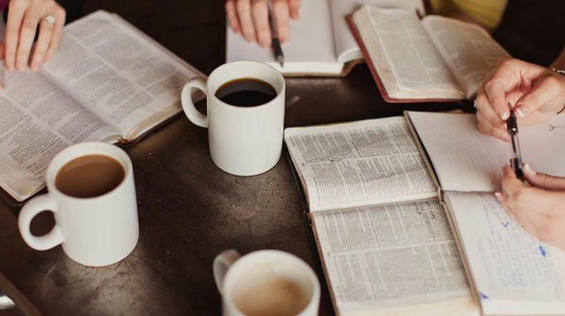 Rasteplass våren 2022