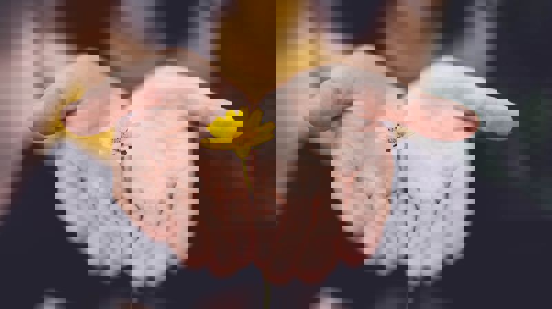 Sorg – samtaletilbud