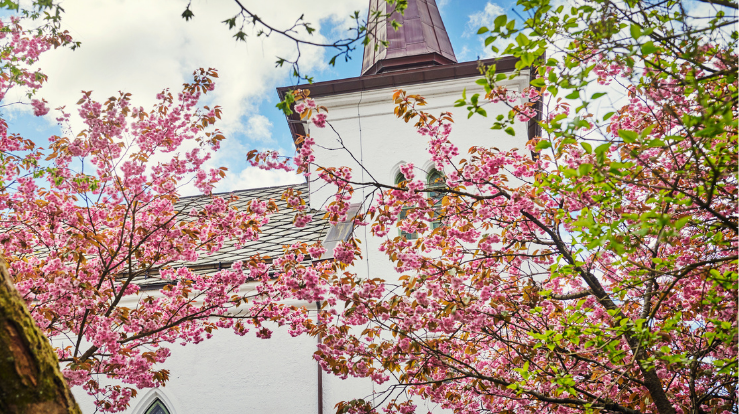 Bryllup i Birkeland kirke